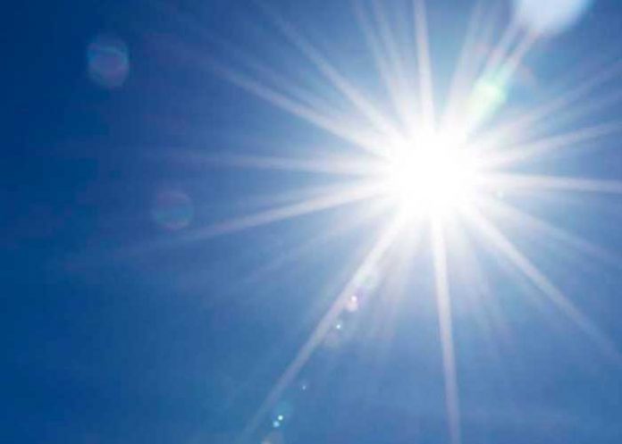 portugal5 ¡Infierno mortal! Más de mil muertos tras ola de calor en España y Portugal