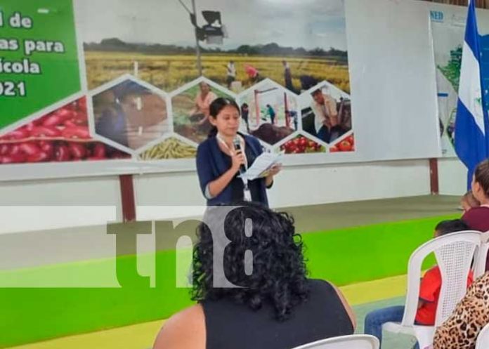 Intercambio genético impulsará la producción de ovinos y caprinos