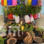 Promoción de plantas medicinales en Nicaragua