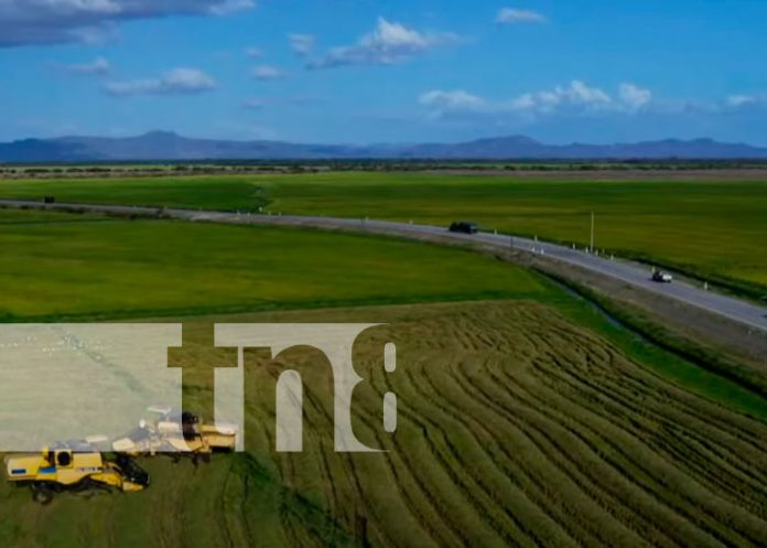 Nicaragua: Análisis del modelo económico y social actual