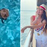 Thalía se viraliza tras rescatar a un ratoncito a punto de ahogarse ¿Estás bien precioso? Dijo Thalía cuando sacó al ratón