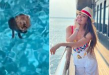Thalía se viraliza tras rescatar a un ratoncito a punto de ahogarse ¿Estás bien precioso? Dijo Thalía cuando sacó al ratón