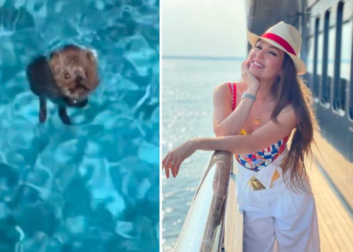 ¿Estás bien precioso? Dijo Thalía cuando sacó al ratón