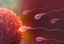 Entérate ¿A qué se debe la Esterilidad masculina y baja calidad del semen?