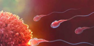 Entérate ¿A qué se debe la Esterilidad masculina y baja calidad del semen?