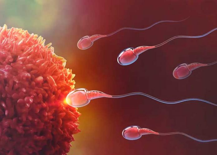Entérate ¿A qué se debe la Esterilidad masculina y baja calidad del semen?