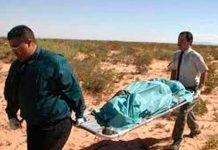 ¡Trágico! Mueren 27 migrantes en el desierto de Arizona durante junio ¡Trágico! Mueren 27 migrantes en el desierto de Arizona durante junio