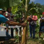 Impulsan la tecnología de las vitroplantas para producción en Nicaragua INTA Nicaragua fortalece técnicas de vitroplantas en el país
