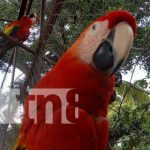 Zoocriadero ALSOFI en Catarina, Masaya