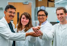 Nueva técnica para detectar el cáncer con ayuda de langostas Nueva técnica para detectar el cáncer con ayuda de langostas