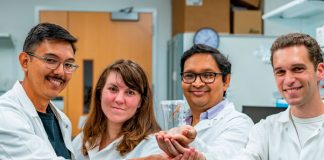 Nueva técnica para detectar el cáncer con ayuda de langostas