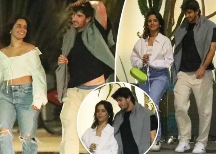 ¡Lo último! Camila Cabello confirma relación con Austin Kevitch