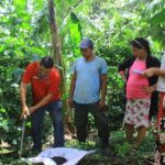 INTA y CONATRADEC realizan estudio de la fertilidad de los suelos en Café INTA y CONATRADEC realizan estudio de la fertilidad de los suelos en Café
