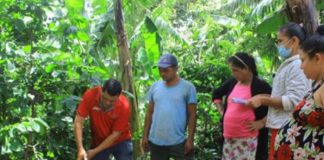 INTA y CONATRADEC realizan estudio de la fertilidad de los suelos en Café