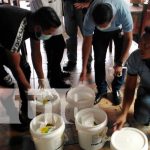 El SILAIS inició una jornada de desratización en Bluefields El SILAIS inició una jornada de desratización en Bluefields