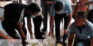 El SILAIS inició una jornada de desratización en Bluefields