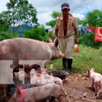 Productores de San Lucas aprovechan estrategia de escuelas técnicas del campo Productores de San Lucas aprovechan estrategia de escuelas técnicas del campo