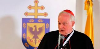 Acusan de abuso sexual al Cardenal Director del Dicasterio de los Obispos del mundo
