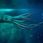 ¿El kraken regresó? Video muestra a calamar gigante devorando a animal