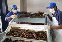 Sistema Nacional de Producción visita procesadora de mariscos en Rivas Sistema Nacional de Producción visita procesadora de mariscos en Rivas