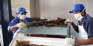 Sistema Nacional de Producción visita procesadora de mariscos en Rivas