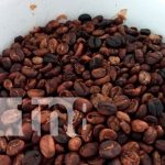 En Boaco jóvenes se tecnifican en el INATEC para agregar valor al café En Boaco jóvenes se tecnifican en el INATEC para agregar valor al café