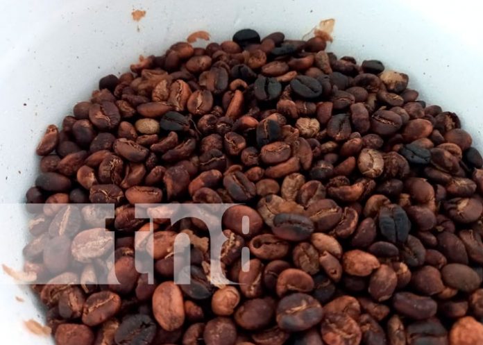 En Boaco jóvenes se tecnifican en el INATEC para agregar valor al café