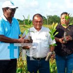 ‘Vida Pain’ dona 50 mil plantas de marañón en la Costa Caribe Norte 'Vida Pain' dona 50 mil plantas de marañón en la Costa Caribe Norte