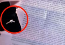 Muere camino a recoger el anillo de compromiso que daría a su novia Muere camino a recoger el anillo de compromiso que daría a su novia