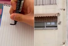 Enamora su vecino y este le responde: «Soy trolo podemos ser amiguis» Enamora a su vecino con un cartel y la respuesta es viral