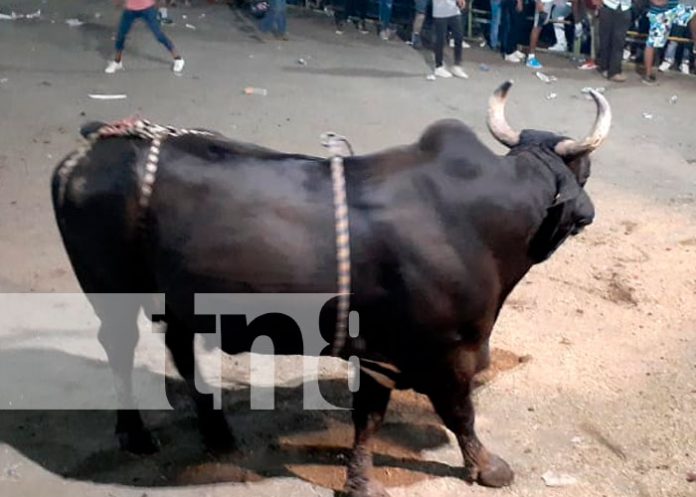 1 Dos nandaimeños resultan con lesiones graves en barrera de toros