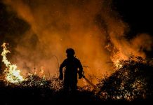 Fuertes incendios amenazan a Portugal tras fuerte ola de calor Fuertes incendios amenazan con Portugal tras fuerte ola de calor