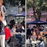 La historia tras la hazaña de «Juan Cruz» en Argentina que fue viral La historia tras la hazaña de "Juan Cruz" en Argentina que fue viral