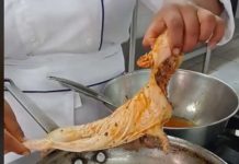 Chef difunde polémico video donde muestra cómo cocina una rata Chef difunde polémico video donde muestra cómo cocina una rata