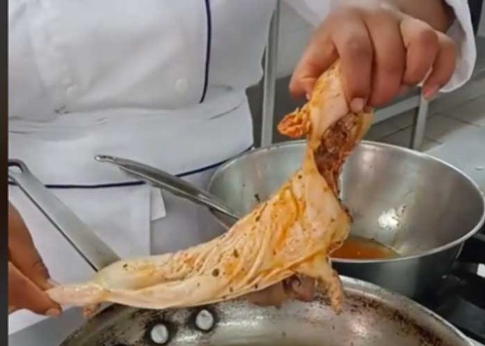 1 Chef difunde polémico video donde muestra cómo cocina una rata