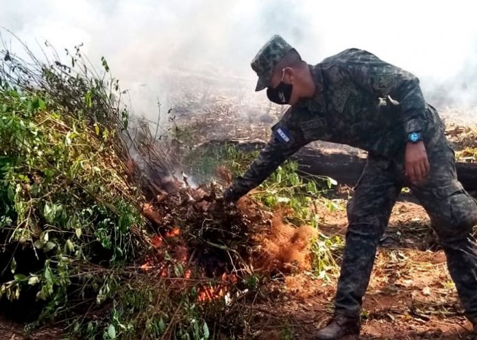 1 Operativos en Honduras para evitar que se convierta en productor de coca