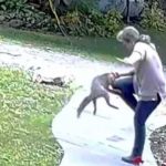 ¡VIDEO! Mujer protagoniza campal batalla con un zorro en Washington