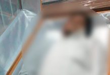 ¡En busca de comida! Un rayo le quita la vida en Honduras ¡En busca de comida! Un rayo le quita la vida en Honduras