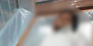 ¡En busca de comida! Un rayo le quita la vida en Honduras