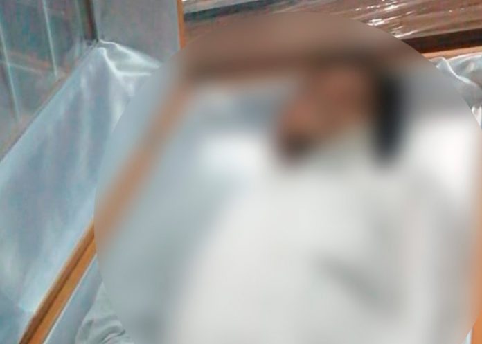 ¡En busca de comida! Un rayo le quita la vida en Honduras