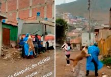 No todos son iguales: Un perrito abraza a la enfermera en Perú