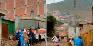 No todos son iguales: Un perrito abraza a la enfermera en Perú