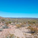 Abandonados a su suerte: «Coyote» deja dos bebés en el desierto Abandonados a su suerte: "Coyote" deja dos bebés en el desierto