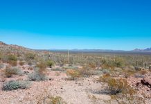 Abandonados a su suerte: «Coyote» deja dos bebés en el desierto Abandonados a su suerte: "Coyote" deja dos bebés en el desierto