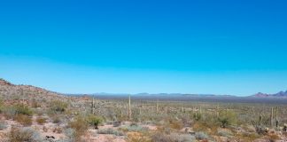 Abandonados a su suerte: "Coyote" deja dos bebés en el desierto