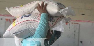 Más de 30 mil estudiantes contarán con la merienda escolar en Estelí