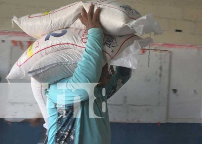 1 Más de 30 mil estudiantes contarán con la merienda escolar en Estelí