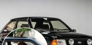 A 25 años de su muerte: Carro de la princesa Diana es subastado