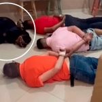 Arresto canino: Rottweiler se «rinde» en operativo narcótico en Brasil Perrito se "rinde" junto a sus dueños en narco operativo en Brasil