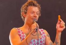 Insólito: Harry Styles detiene presentación por una pieza de pollo Insólito: Harry Styles detiene presentación por una pieza de pollo
